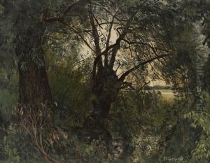 Skogsinterior by Marcus Gronvold