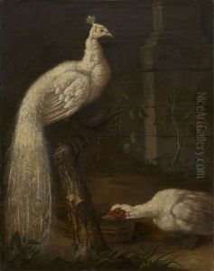 A Goose And A White Peacock by Johann Friedrich Grooth
