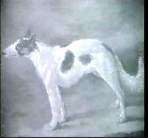 Portraet Af En Langharet Mynde by Johann Friedrich Grooth