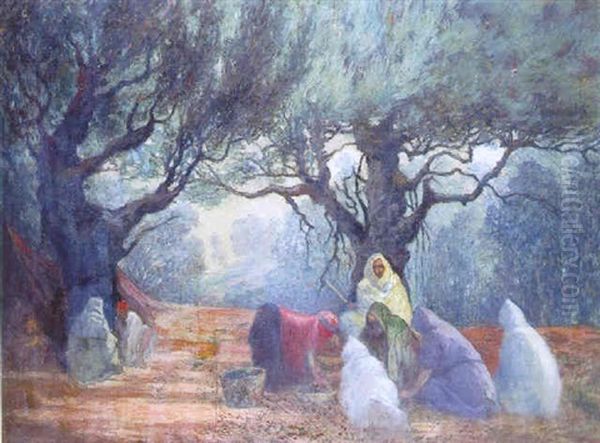 La Cueillette Des Olives En Tunisie - view 1
