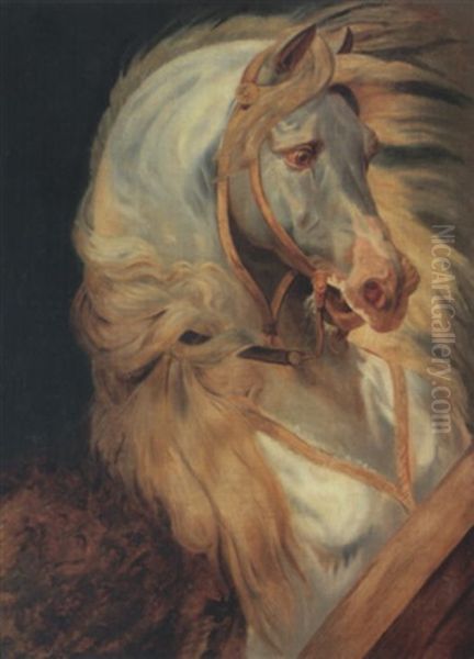 Tete De Cheval De Murat - view 1