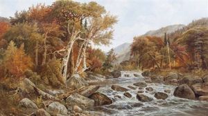 Mountain Stream