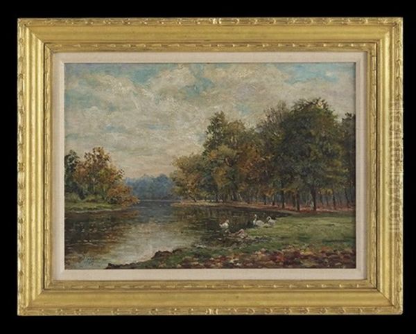 Ducks Beside A Waterway, Probably The Harbor Inlets Of St. James, New York - view 1