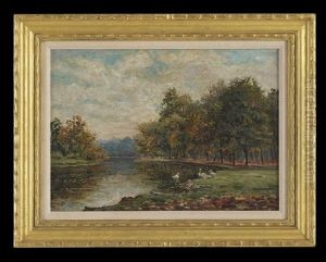 Ducks Beside A Waterway, Probably The Harbor Inlets Of St. James, New York