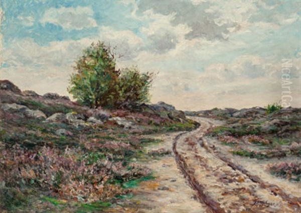 Old Road Cimiez, Nice - view 1