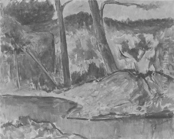 Waldlichtung An Einem Kleinen Bach - view 1