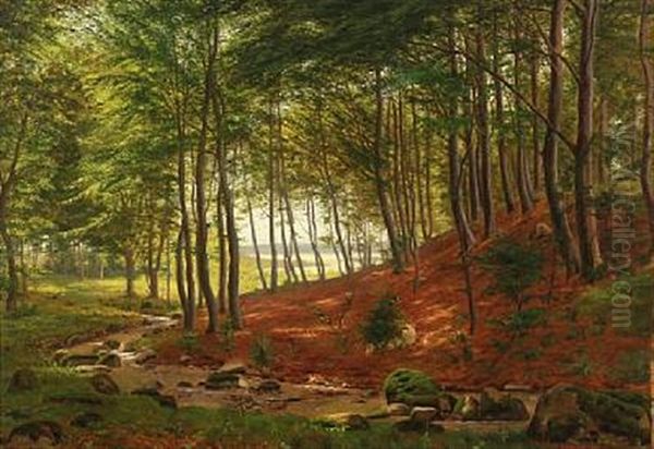 Forest Scape - view 1