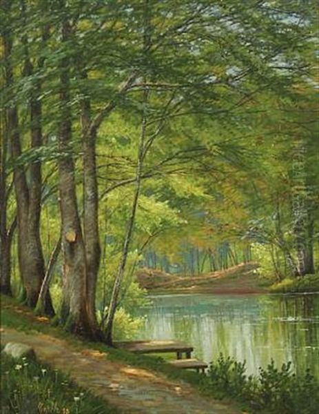 Forest Scenery With A Stream - view 1