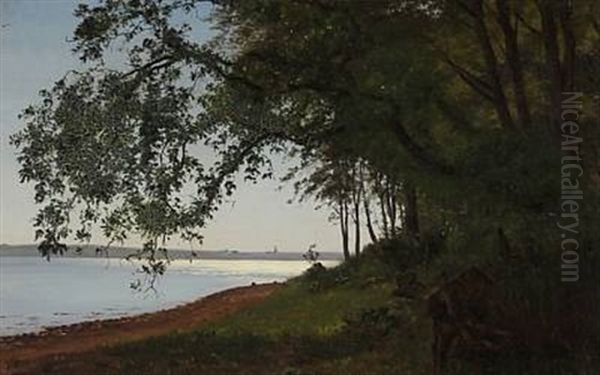 Parti Fra Kongebroskoven Ved Middelfart (view From Kongebroskoven At Middelfart, Denmark) - view 1