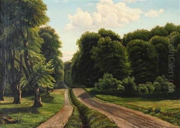 Summer Day At A Forest Road - view 1