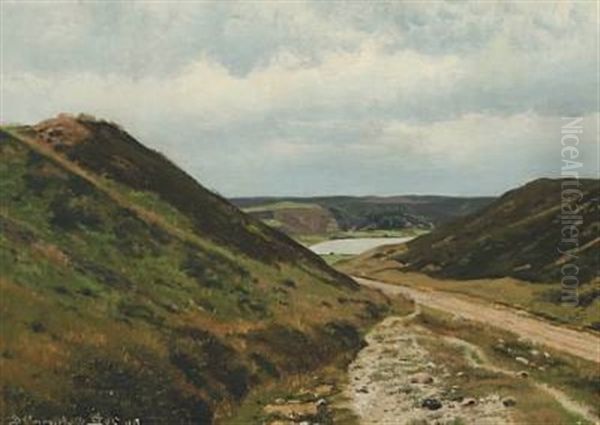 Landscape At Dollerup Mill - view 1