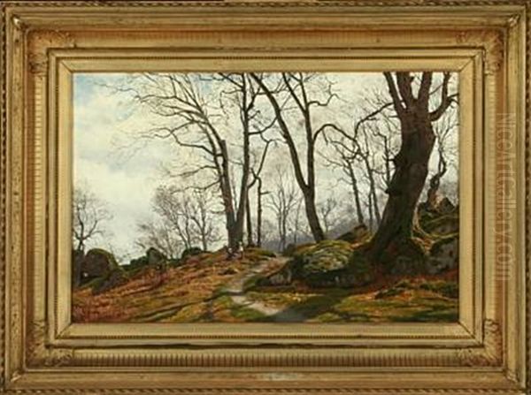 Two Young Girls In The Forest An Autumn Day - view 1