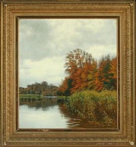 Forest Lake With Man In A Boat Forest Lake With Man In A Boat