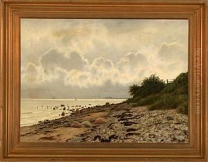 Coastal Scenery From Elsinore