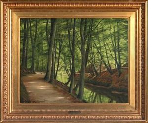 A Beech Forest With A Stream And Walking Persons A Beech Forest With A Stream And Walking Persons