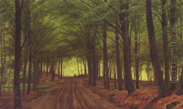 Skovparti - view 1