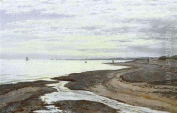 Parti Fra Skagen Strand Med Personer I Strandkanten - view 1