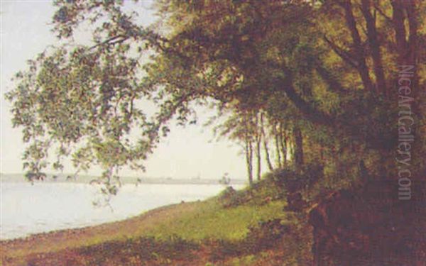 Parti Fra Kongebroskoven Ved Middelfart - view 1