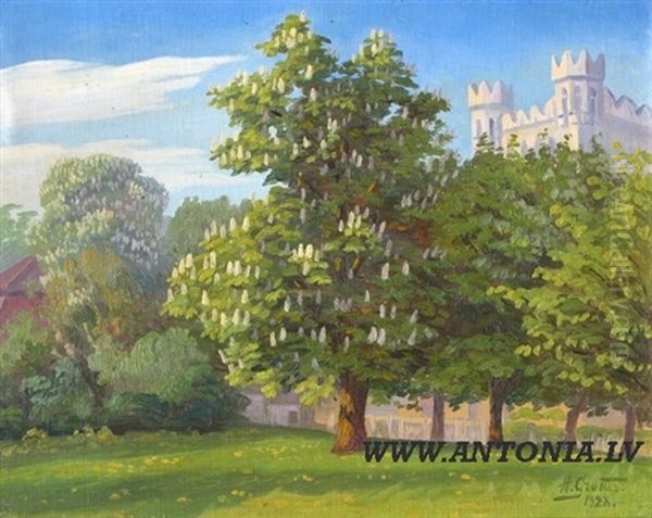 Flowering Horse Chestnut - view 1