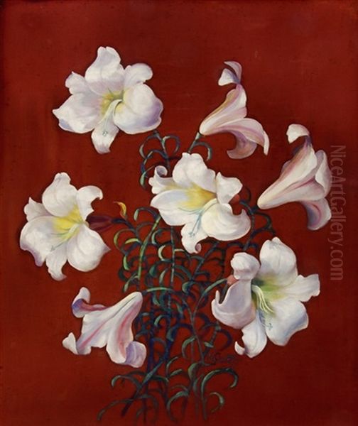 Lilies - view 1