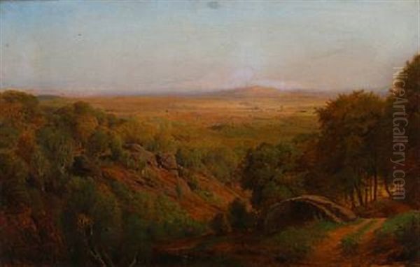 A View Over A Danish Landscape At Summertime - view 1
