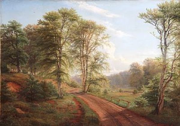 Landscape From Ordrup Field In The Deer Garden - view 1