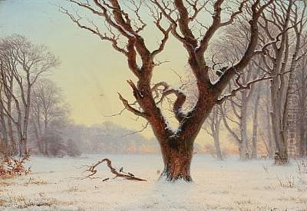Winterday On A Field - view 1