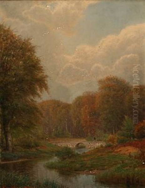A Creek In A Forest At Late Summer - view 1