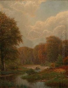 A Creek In A Forest At Late Summer
