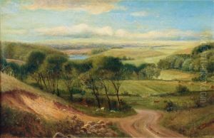 Extensive Landscape Extensive Landscape