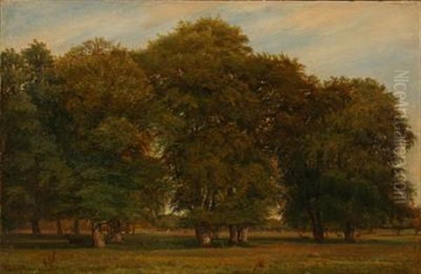 A Summer Day In Dyrehaven Forest, Denmark - view 1