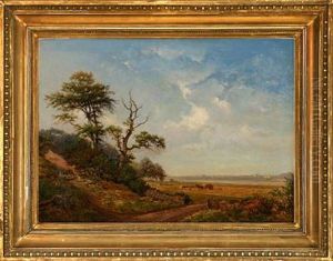 Harvest Landscape