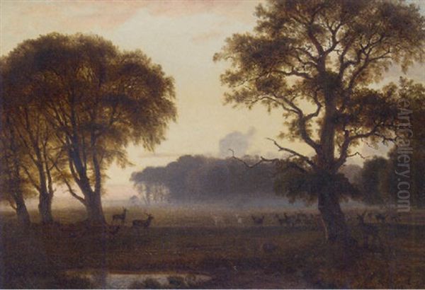 Deer Grazing In A Park At Dusk - view 1