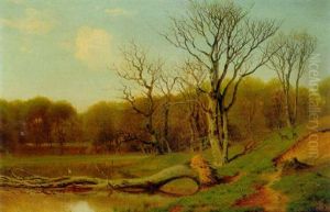 A Spring Lake Landscape A Spring Lake Landscape