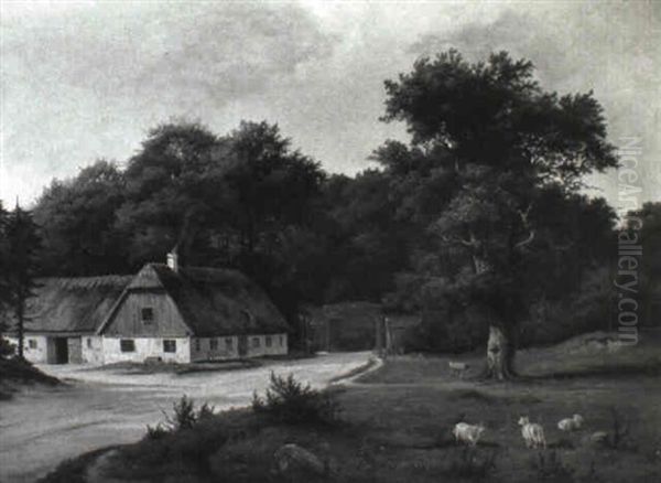 Parti Fra Dyrehaven Med Skovlaberhus Og Far Der Graesser - view 1