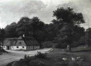 Parti Fra Dyrehaven Med Skovlaberhus Og Far Der Graesser Parti Fra Dyrehaven Med Skovlaberhus Og Far Der Graesser