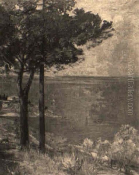 Landscape - view 1