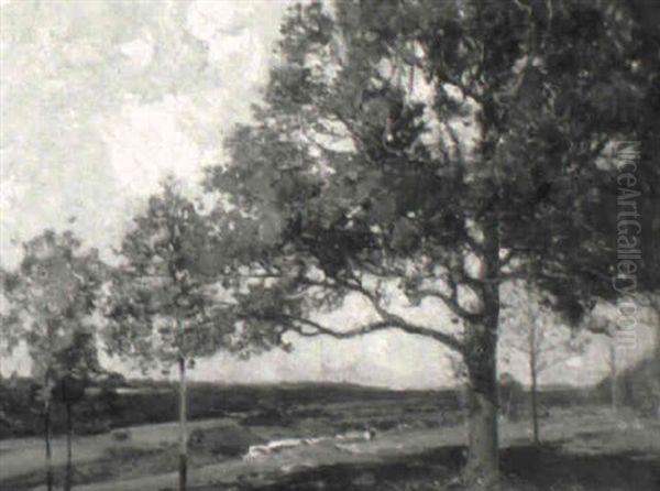 Landscape With Trees - view 1