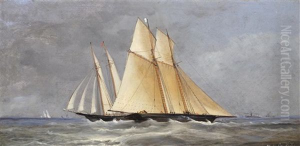 Yachts In The Solent - view 1