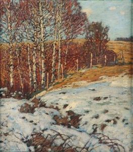 Birken Im Schnee by Franz Gruber-Gleichenberg