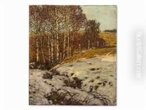 Birken Im Schnee by Franz Gruber-Gleichenberg