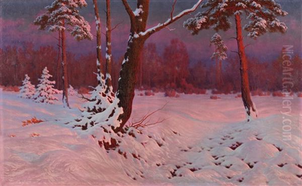 Neige Le Soir - view 1