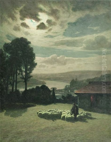 Rassemblement De Moutons - Effet De Lune - view 1