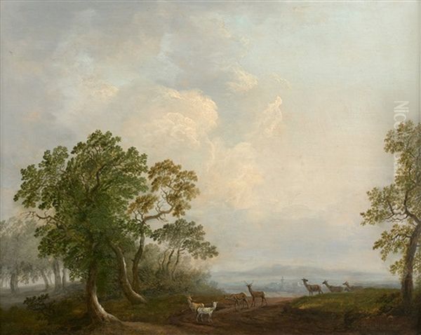 Cerfs Et Biches Dans La Foret - view 1