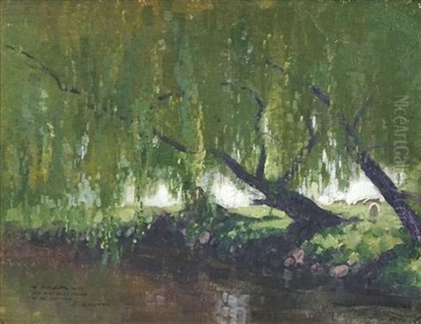 Willow Tree And Sheep - view 1
