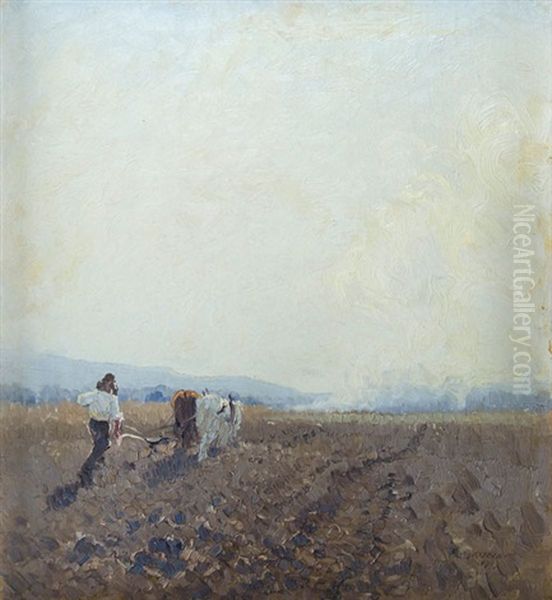 Ploughing Windsor - view 1
