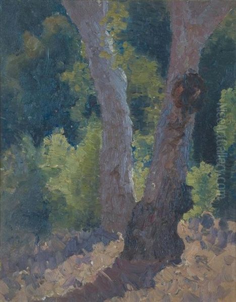 In The Bush - view 1