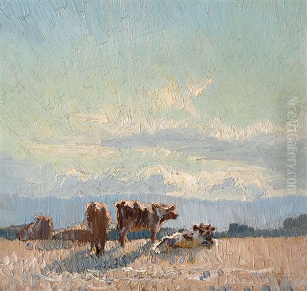 Afternoon Sunlight - view 1
