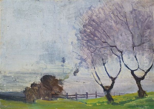 Landscape - view 1