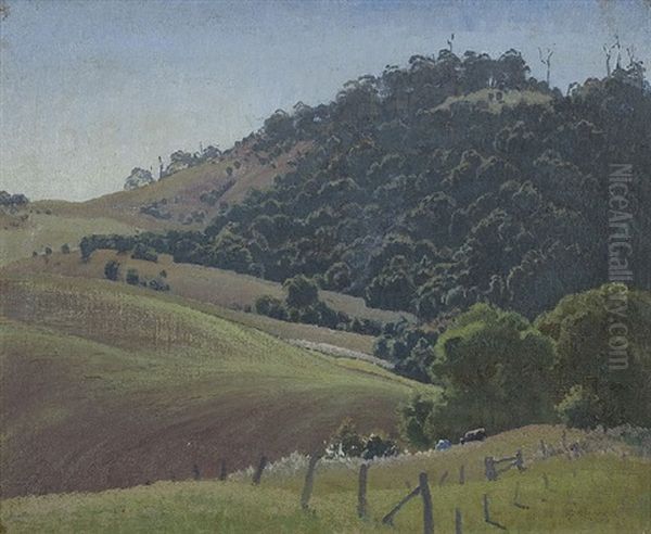 The New Crop - view 1